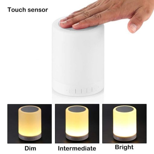 Touch Lamp Portable Bluetooth Speaker with Smart Colour Changing Touch Mode Night Lamp(D-3019)